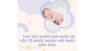 Thủ tục nhận con nuôi có yếu tố nước ngoài mới nhất