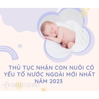 Thủ tục nhận con nuôi có yếu tố nước ngoài mới nhất