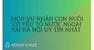 Dịch vụ nhận con nuôi có yếu tố nước ngoài tại Hà Nội uy tín nhất