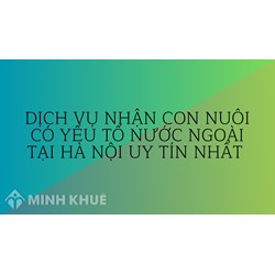 Dịch vụ nhận con nuôi có yếu tố nước ngoài tại Hà Nội uy tín nhất