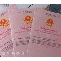 Dịch vụ cấp sổ đỏ, làm bìa đỏ sổ đỏ tại quận Gò Vấp, TP HCM
