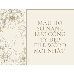 Mẫu hồ sơ năng lực công ty đẹp file word mới nhất
