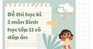 Đề thi học kì 2 môn Sinh học lớp 11 có đáp án chi tiết