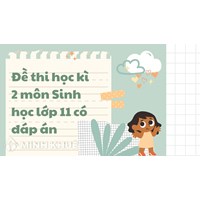 Đề thi học kì 2 môn Sinh học lớp 11 có đáp án chi tiết