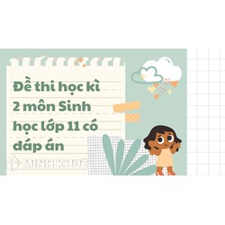 Đề thi học kì 2 môn Sinh học lớp 11 có đáp án chi tiết