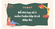 Đề thi học kì 2 môn Toán lớp 11 có đáp án chi tiết nhất