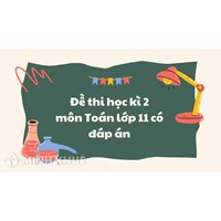 Đề thi học kì 2 môn Toán lớp 11 có đáp án chi tiết nhất