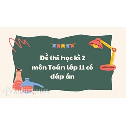 Đề thi học kì 2 môn Toán lớp 11 có đáp án chi tiết nhất