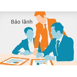Dịch vụ Luật sư Soạn Đơn xin bảo lãnh trong vụ án Hình Sự
