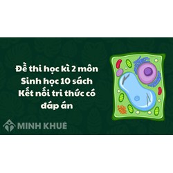 Đề thi học kì 2 môn Sinh học 10 sách Kết nối tri thức có đáp án