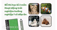 Đề thi học kì 2 môn Hoạt động trải nghiệm hướng nghiệp 7 có đáp án