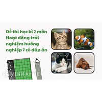 Đề thi học kì 2 môn Hoạt động trải nghiệm hướng nghiệp 7 có đáp án