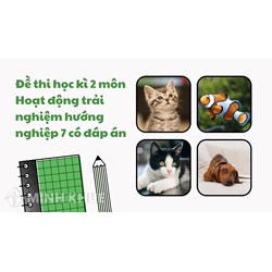 Đề thi học kì 2 môn Hoạt động trải nghiệm hướng nghiệp 7 có đáp án