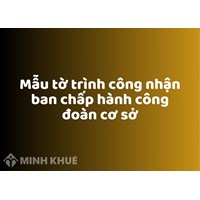 Mẫu tờ trình công nhận ban chấp hành công đoàn cơ sở mới nhất