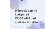 Mẫu Giấy nộp trả kinh phí số C2-05a/NS mới nhất và cách điền