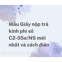 Mẫu Giấy nộp trả kinh phí số C2-05a/NS mới nhất và cách điền