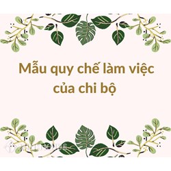 Mẫu quy chế làm việc của chi bộ nhiệm kỳ 2020-2025 mới nhất