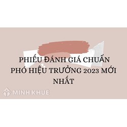 Mẫu phiếu đánh giá chuẩn phó Hiệu trưởng mới nhất
