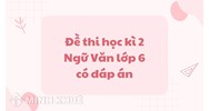 Đề thi học kì 2 Ngữ Văn lớp 6 có đáp án đầy đủ, chi tiết