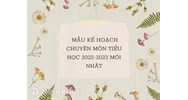 Mẫu kế hoạch chuyên môn tiểu học cho năm học mới nhất