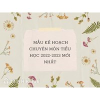 Mẫu kế hoạch chuyên môn tiểu học cho năm học mới nhất