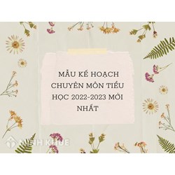 Mẫu kế hoạch chuyên môn tiểu học cho năm học mới nhất