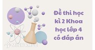 Đề thi học kì 2 Khoa học lớp 4 có đáp án chi tiết nhất