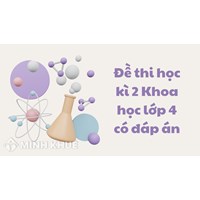 Đề thi học kì 2 Khoa học lớp 4 có đáp án chi tiết nhất
