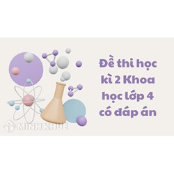 Đề thi học kì 2 Khoa học lớp 4 có đáp án chi tiết nhất