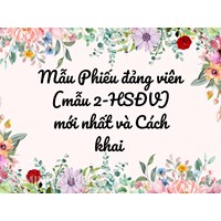 Mẫu Phiếu đảng viên (mẫu 2-HSĐV) mới nhất và Cách khai