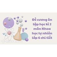 Đề cương ôn tập học kì 2 môn Khoa học tự nhiên lớp 6 chi tiết