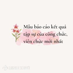 Mẫu báo cáo kết quả tập sự của công chức, viên chức mới nhất