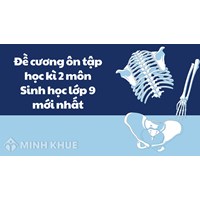 Đề cương ôn tập học kì 2 môn Sinh học lớp 9 mới nhất