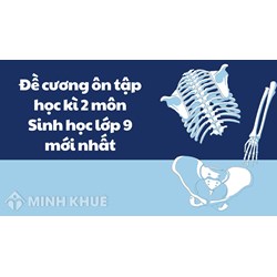 Đề cương ôn tập học kì 2 môn Sinh học lớp 9 mới nhất