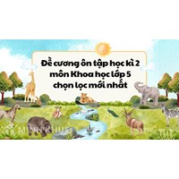 Đề cương ôn tập học kì 2 môn Khoa học lớp 5 mới nhất