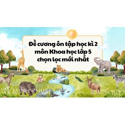 Đề cương ôn tập học kì 2 môn Khoa học lớp 5 mới nhất