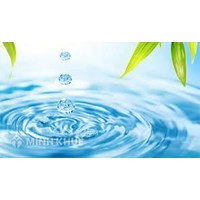 Đoạn văn ngắn về chủ đề môi trường có sử dụng thành ngữ nhiều như nước