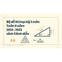 Đề thi học kì 2 môn Toán lớp 6 sách Cánh diều có đáp án