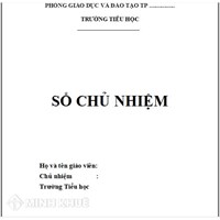 Mẫu sổ chủ nhiệm tiểu học mới nhất và cách ghi chi tiết