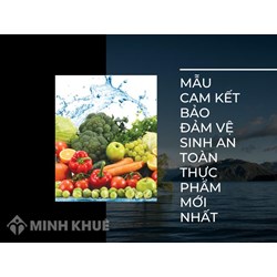 Mẫu cam kết bảo đảm vệ sinh an toàn thực phẩm mới nhất 2024