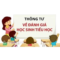 Những điểm mới của Thông tư 22 về đánh giá học sinh tiểu học