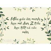 Mẫu giáo án minh họa mô đun 2 tiểu học tất cả các môn