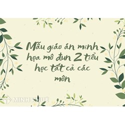 Mẫu giáo án minh họa mô đun 2 tiểu học tất cả các môn