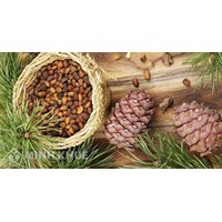 Đoạn văn cảm nhận văn bản Lẵng quả thông chọn lọc hay nhất