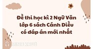 Đề thi học kì 2 Ngữ Văn lớp 6 sách Cánh Diều có đáp án mới nhất