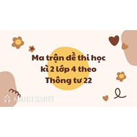 Ma trận đề thi học kì 2 lớp 4 theo Thông tư 22 mới nhất