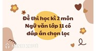 Đề thi học kì 2 môn Ngữ văn lớp 11 có đáp án chi tiết