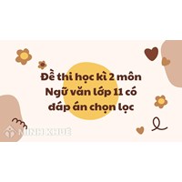Đề thi học kì 2 môn Ngữ văn lớp 11 có đáp án chi tiết