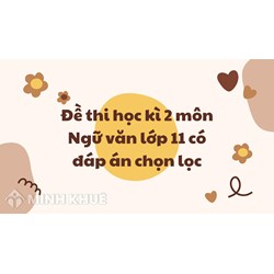 Đề thi học kì 2 môn Ngữ văn lớp 11 có đáp án chi tiết