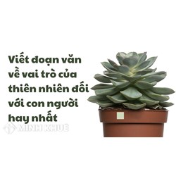 Viết đoạn văn về vai trò của thiên nhiên đối với con người hay nhất